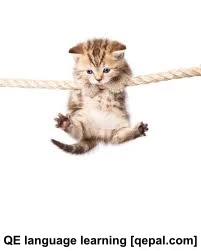 تصویر فلش کارت hang on