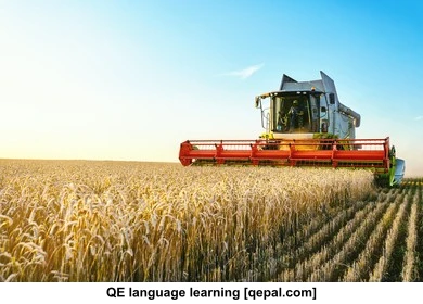 تصویر فلش کارت harvest