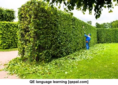 تصویر فلش کارت hedge