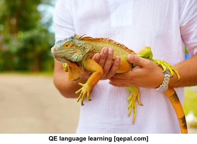 تصویر فلش کارت herpetologist