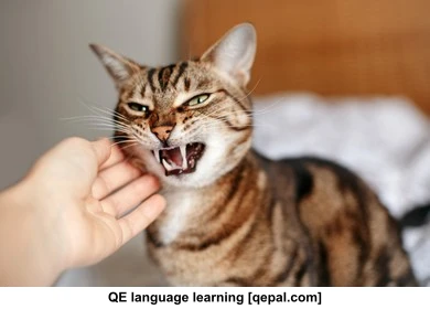 تصویر فلش کارت hissing