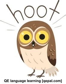 تصویر فلش کارت hoot