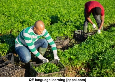 تصویر فلش کارت horticultural