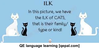 تصویر فلش کارت ilk