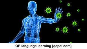 تصویر فلش کارت immune system