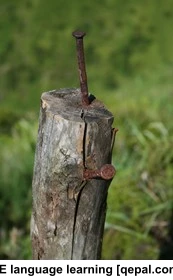 تصویر فلش کارت impale