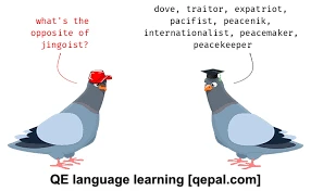 تصویر فلش کارت jingoist