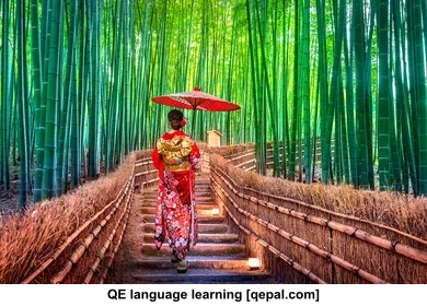 تصویر فلش کارت kimono