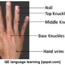 تصویر فلش کارت knuckle