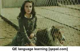 تصویر فلش کارت lassie