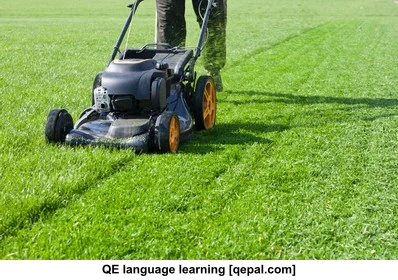 تصویر فلش کارت lawn