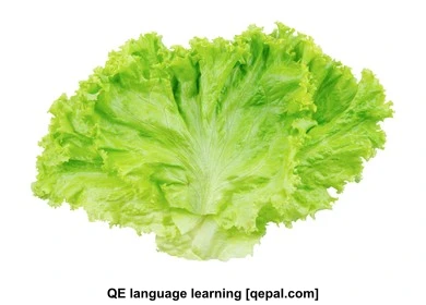 تصویر فلش کارت lettuce