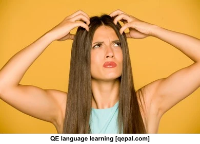 تصویر فلش کارت louse