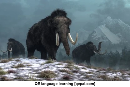تصویر فلش کارت mammoth
