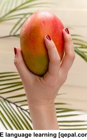 تصویر فلش کارت mango