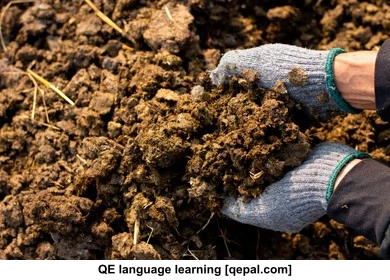 تصویر فلش کارت manure