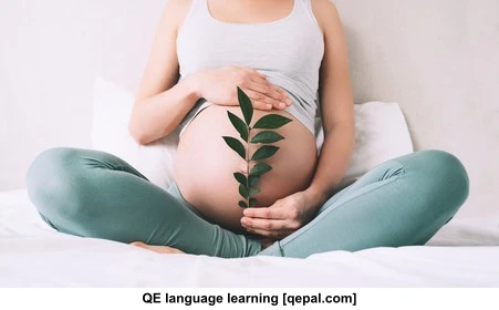تصویر فلش کارت maternal