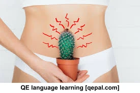 تصویر فلش کارت menstruate