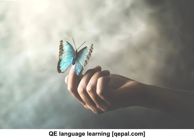 تصویر فلش کارت metamorphose