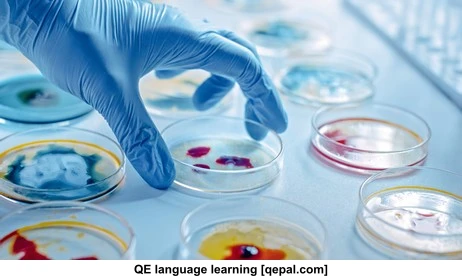 تصویر فلش کارت microbiology