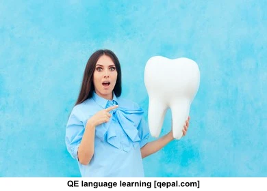 تصویر فلش کارت molar