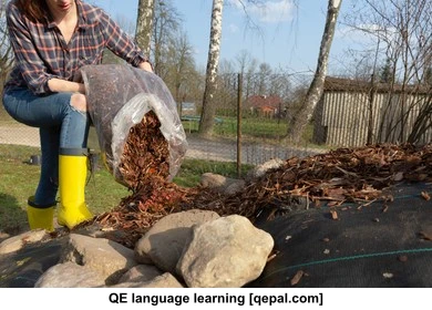 تصویر فلش کارت mulch