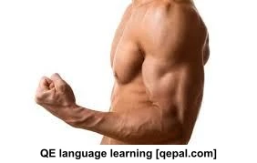 تصویر فلش کارت muscle