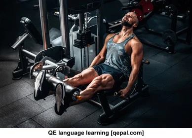 تصویر فلش کارت muscular