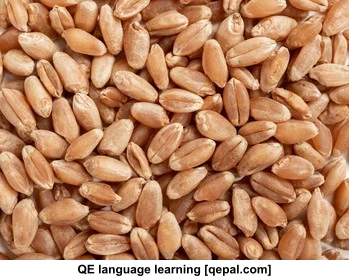 تصویر فلش کارت nutty