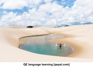 تصویر فلش کارت oasis