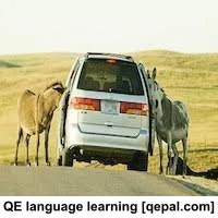 تصویر فلش کارت obtrude