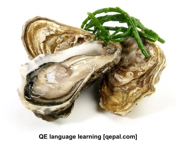 تصویر فلش کارت oyster