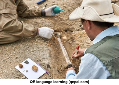 تصویر فلش کارت paleontologist