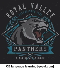 تصویر فلش کارت panther