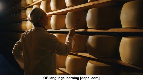 تصویر فلش کارت parmesan