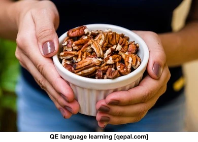 تصویر فلش کارت pecan