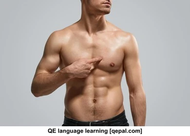 تصویر فلش کارت pectoral