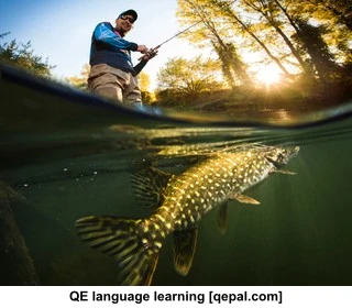 تصویر فلش کارت pike