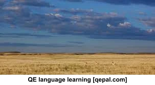 تصویر فلش کارت plains