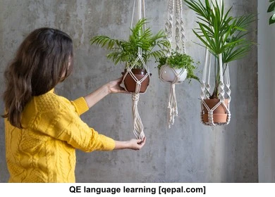 تصویر فلش کارت planter