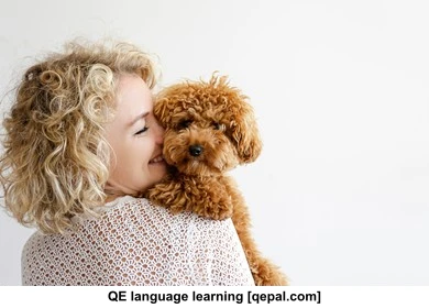 تصویر فلش کارت poodle