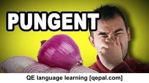 تصویر فلش کارت pungent
