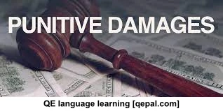 تصویر فلش کارت punitive damages