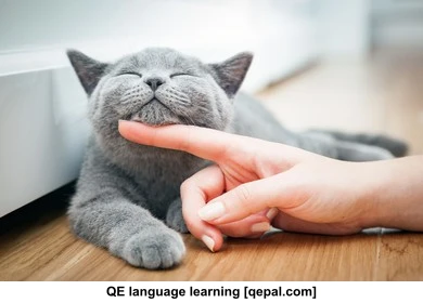 تصویر فلش کارت purr