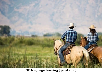 تصویر فلش کارت ranch