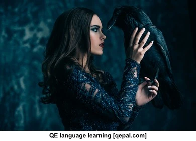 تصویر فلش کارت raven