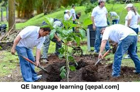 تصویر فلش کارت reforestation