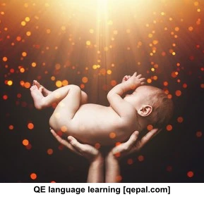 تصویر فلش کارت reincarnating