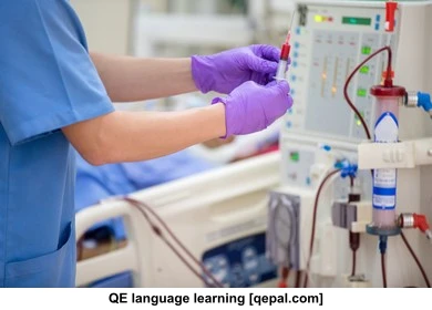 تصویر فلش کارت renal