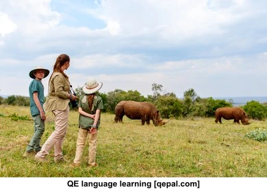 تصویر فلش کارت rhino